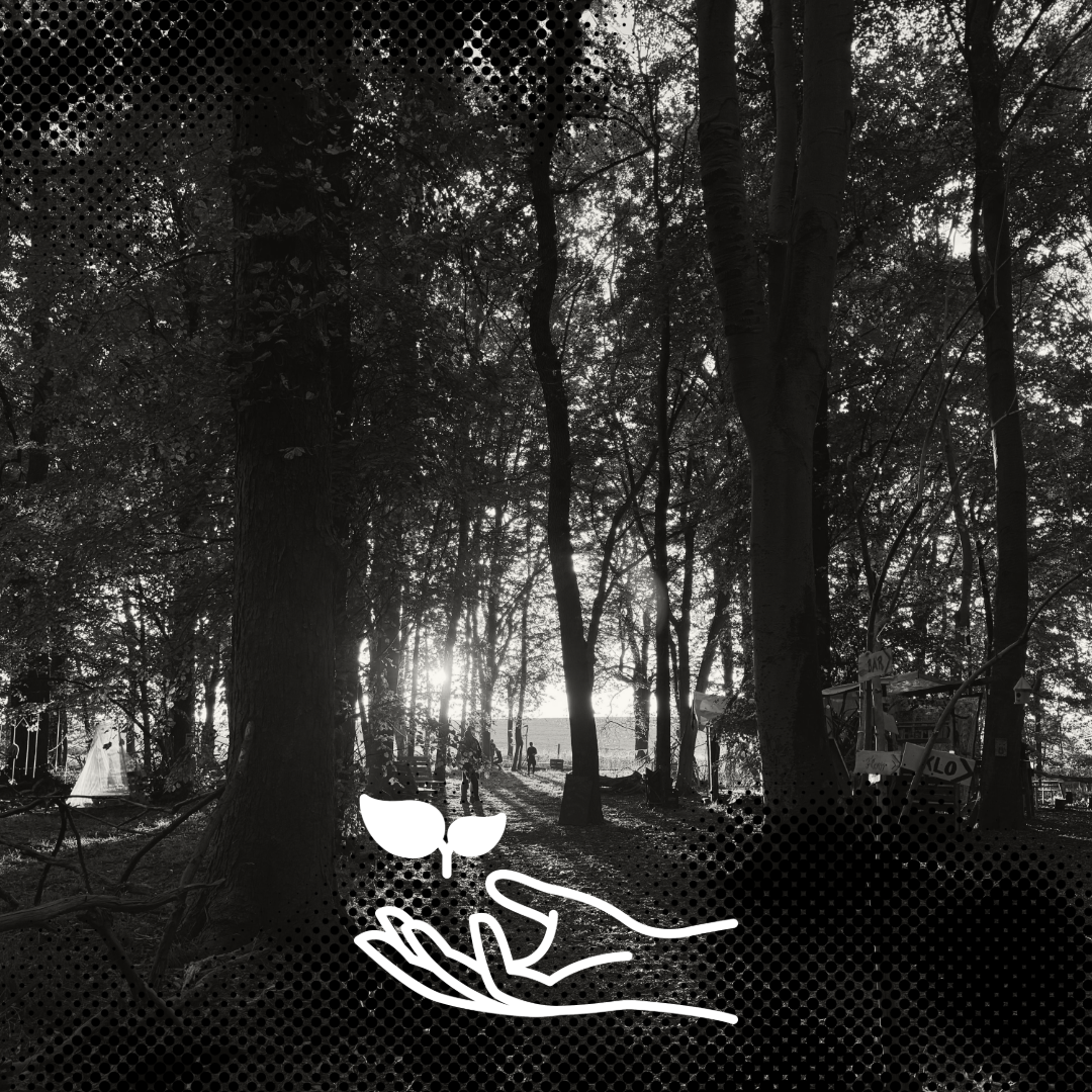 Symbolbild für Nachhaltigkeit mit grünen Blättern und Umweltzeichen, passend zum Festival